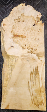 Box Elder Burl Slab