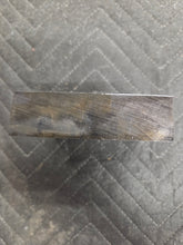 Stabilized Horse Chestnut Turkey Pot