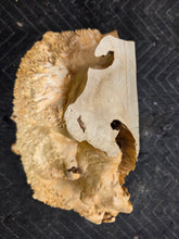 Box Elder Burl cap