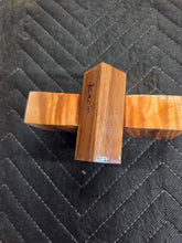 Blackwood Acacia