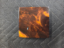 Desert Ironwood Hybrid Turkey Pot