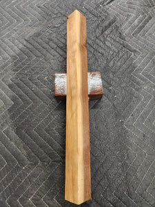Black walnut
