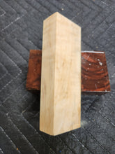 Horse Chestnut Curly Knife Scale