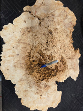 Box Elder Burl cap