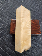 Horse Chestnut Curly Knife Scale