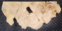 Box Elder Burl Slab