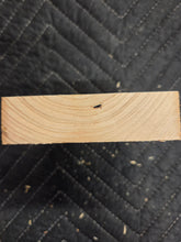 Himalayan Cedar Turkey Pot