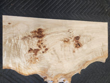 Poplar burl slab