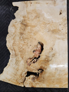 Box Elder Burl Slab