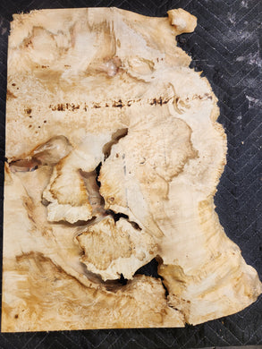 Box Elder Burl Slab