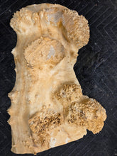 Box Elder Burl cap