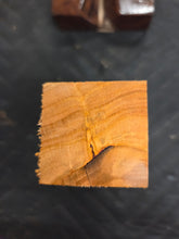 Apricot