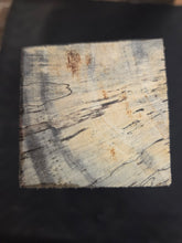 Tamarind