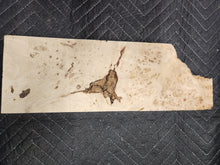 Box Elder Slab