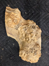 Box Elder Burl Cap