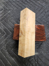 Horse Chestnut Curly Knife Scale