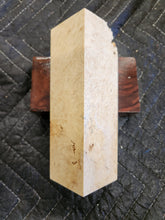 Box elder Burl