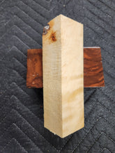 Poplar