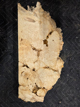 Box Elder Burl Slab