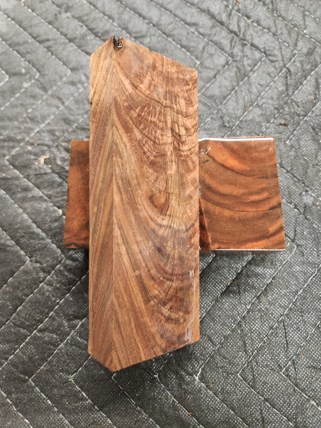 Black Walnut Knife Scale