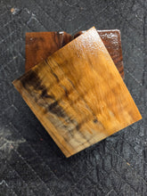 Stabilized Horse Chestnut Turkey Pot