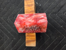 Pinecones Hybrid Bottlestopper