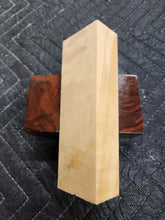 Horse Chestnut Curly Knife Scale