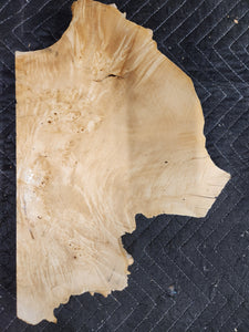 Box Elder Burl Slab
