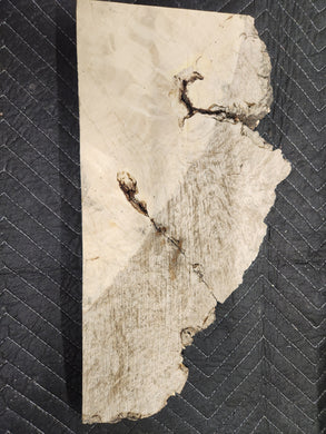 Box Elder Slab