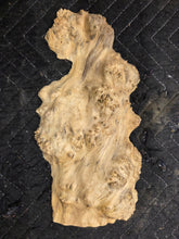 Box Elder Burl cap