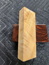 Horse Chestnut Curly Knife Scale