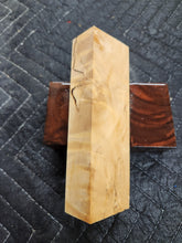 Horse Chestnut Curly Knife Scale