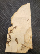 Box Elder Slab