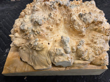 Box Elder Burl Cap