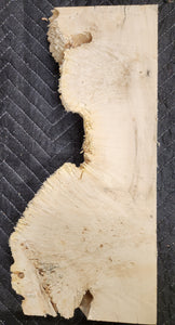 Box Elder Burl Slab