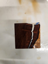 Hybrid Bottlestopper Desert Ironwood