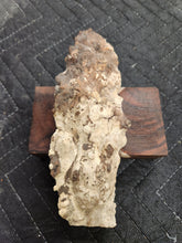 Casting Cherry burl