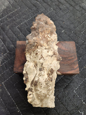 Casting Cherry burl