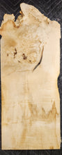 Box Elder Burl Slab