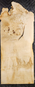 Box Elder Burl Slab
