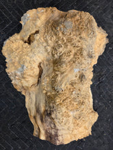Box Elder Burl Cap