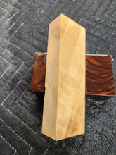 Horse Chestnut Curly Knife Scale