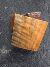 Stabilized Horse Chestnut Turkey Pot