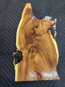 Russian olive burl slab