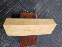 Horse Chestnut Knife Scale