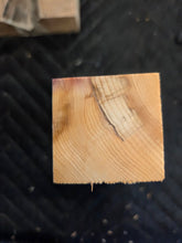 Yew