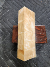 Horse Chestnut Curly Knife Scale