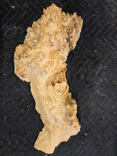 Box Elder Burl Cap