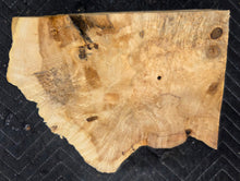 Box Elder Burl Cap
