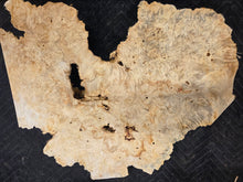 Box Elder Burl cap